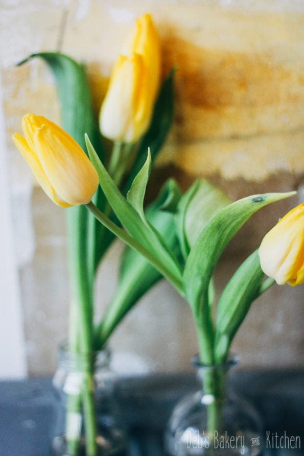 foodies breakfast rotterdam