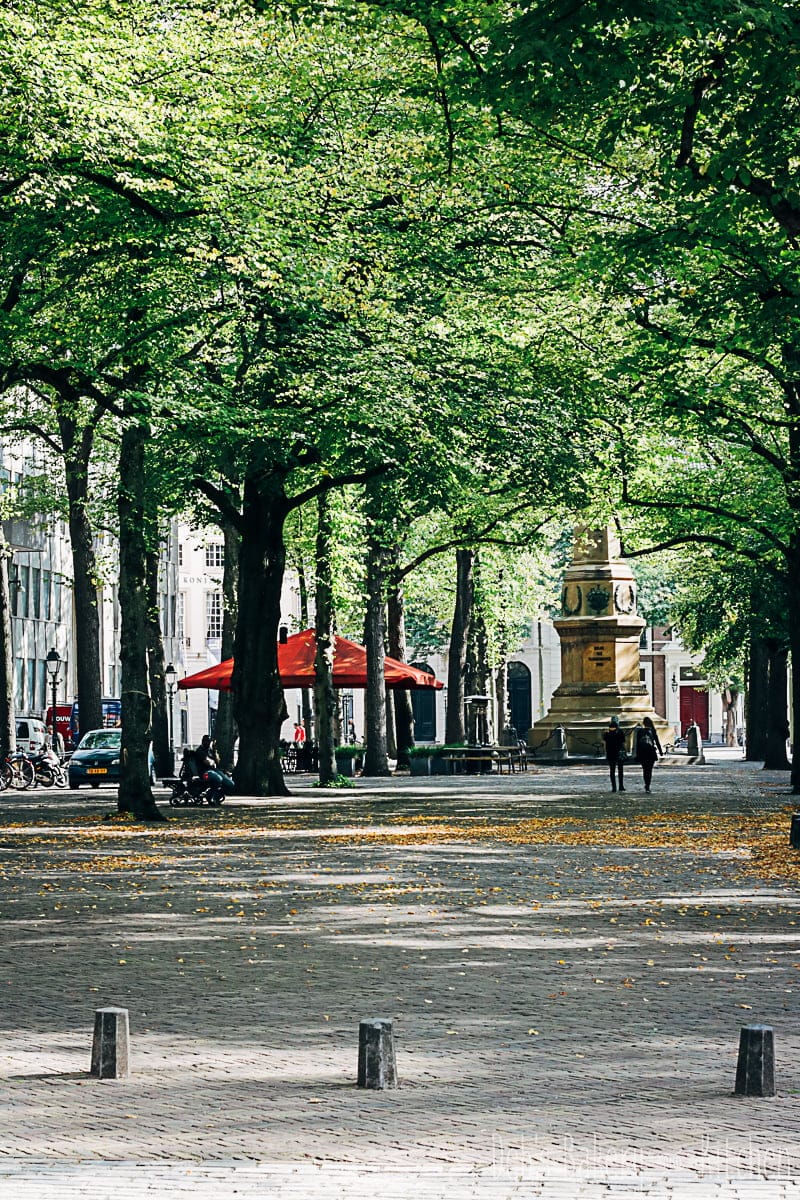 Den Haag- hotspots voor foodies