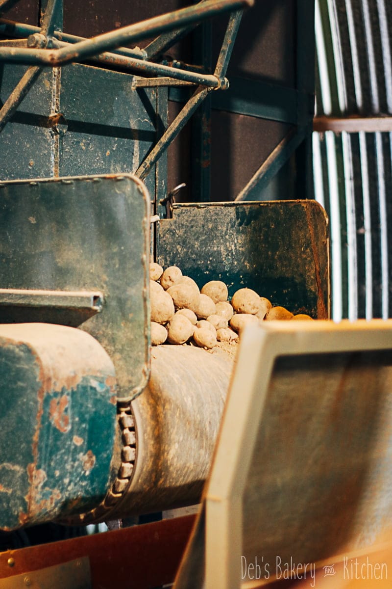 Boerderij Chips- vers van het land