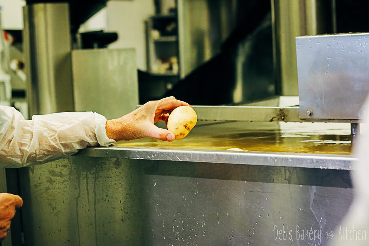 Boerderij Chips- vers van het land