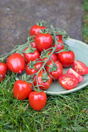 alles over tomaten