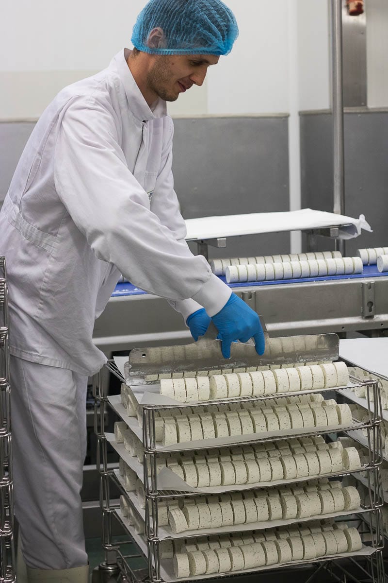 Hoe wordt verse Hollandse geitenkaas gemaakt