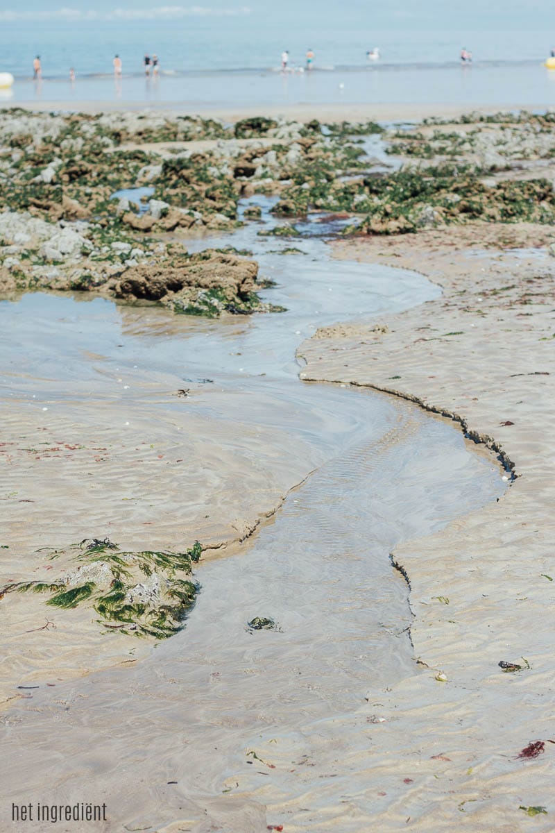 een week normandië met kinderen