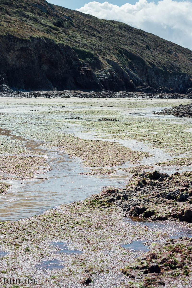 een week normandië met kinderen