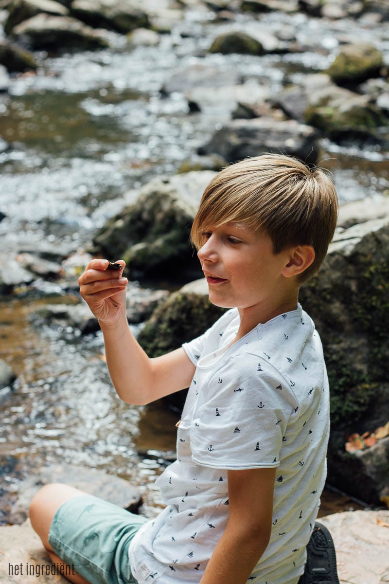 een week normandië met kinderen