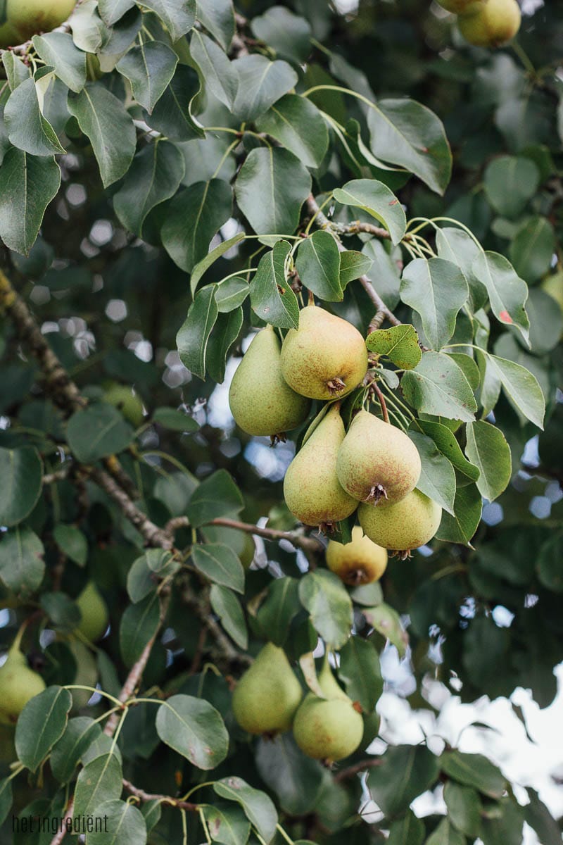 een week normandië met kinderen