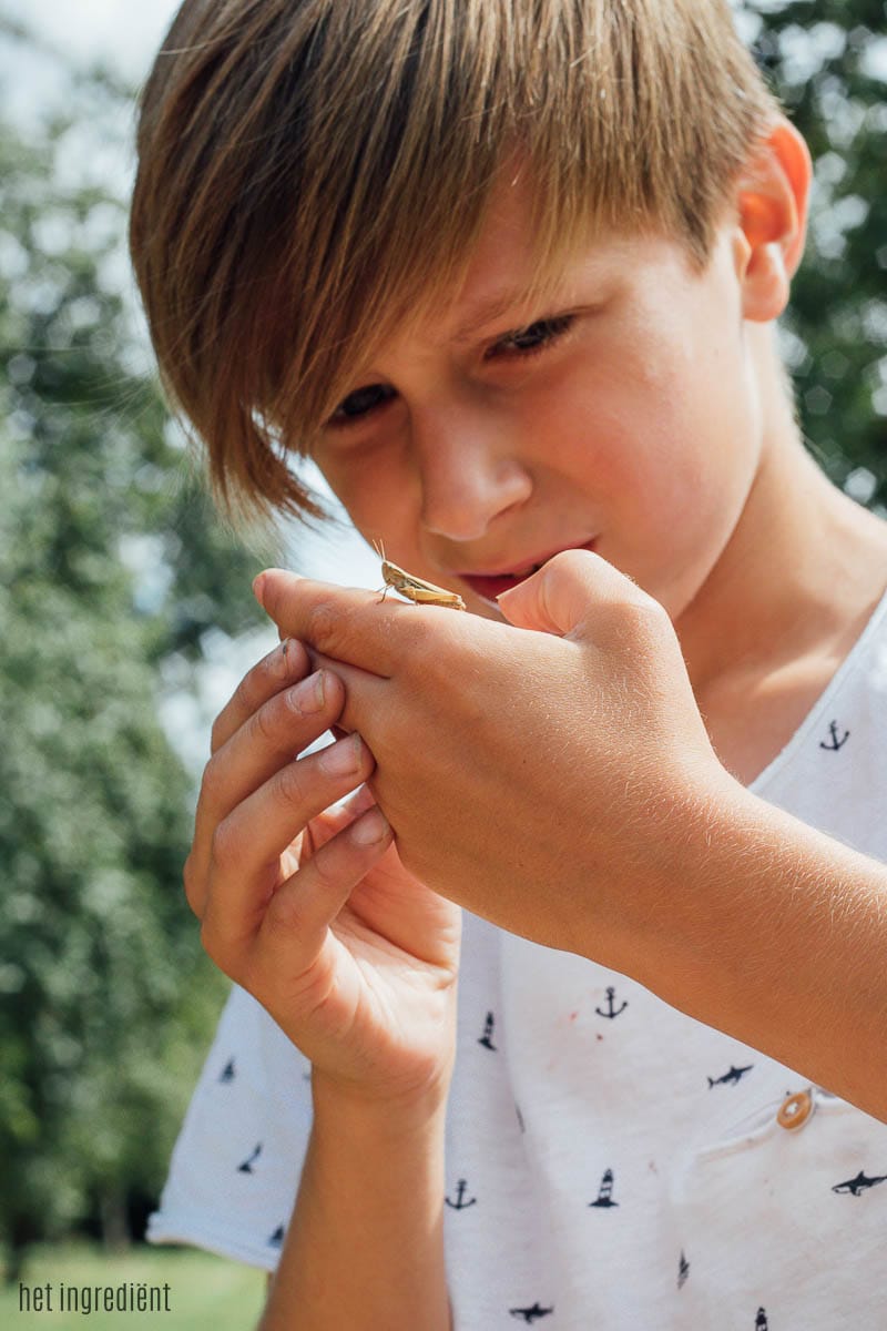 een week normandië met kinderen