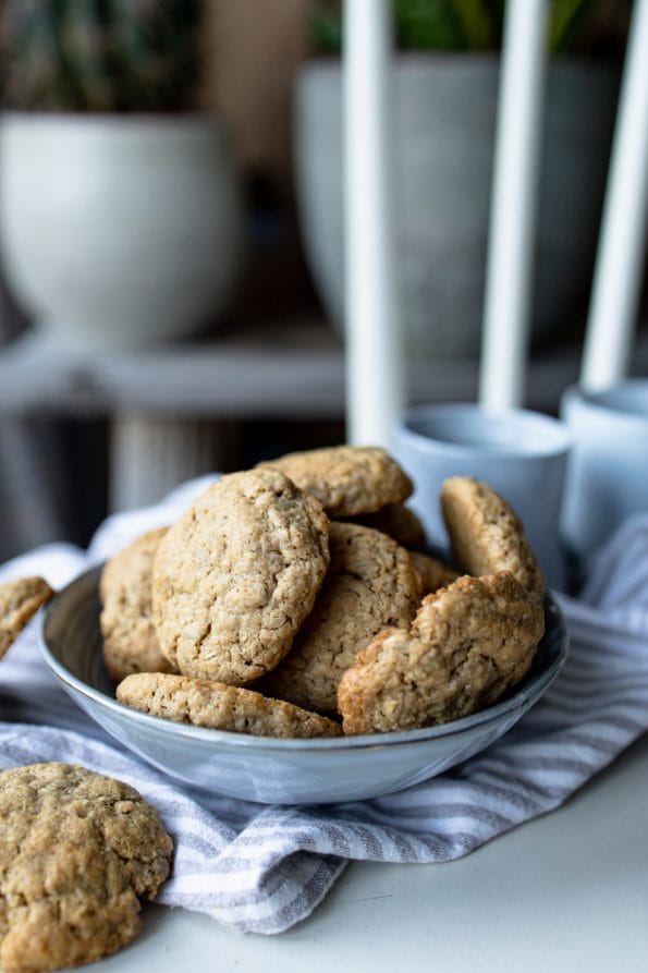 havermout kokoskoeken met zonnebloempitten