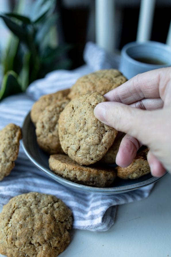 havermout kokoskoeken met zonnebloempitten