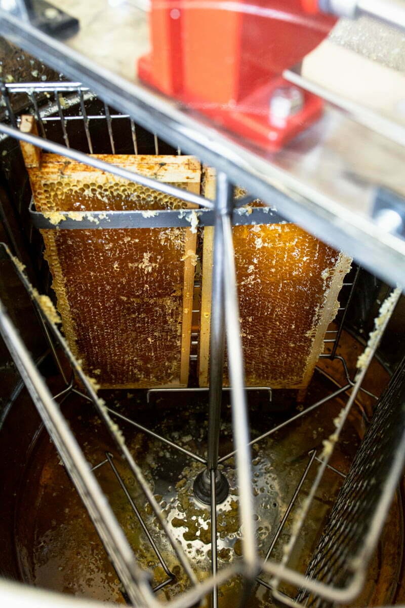 LOKALE HONING KOPEN UIT BERKEL EN RODENRIJS
